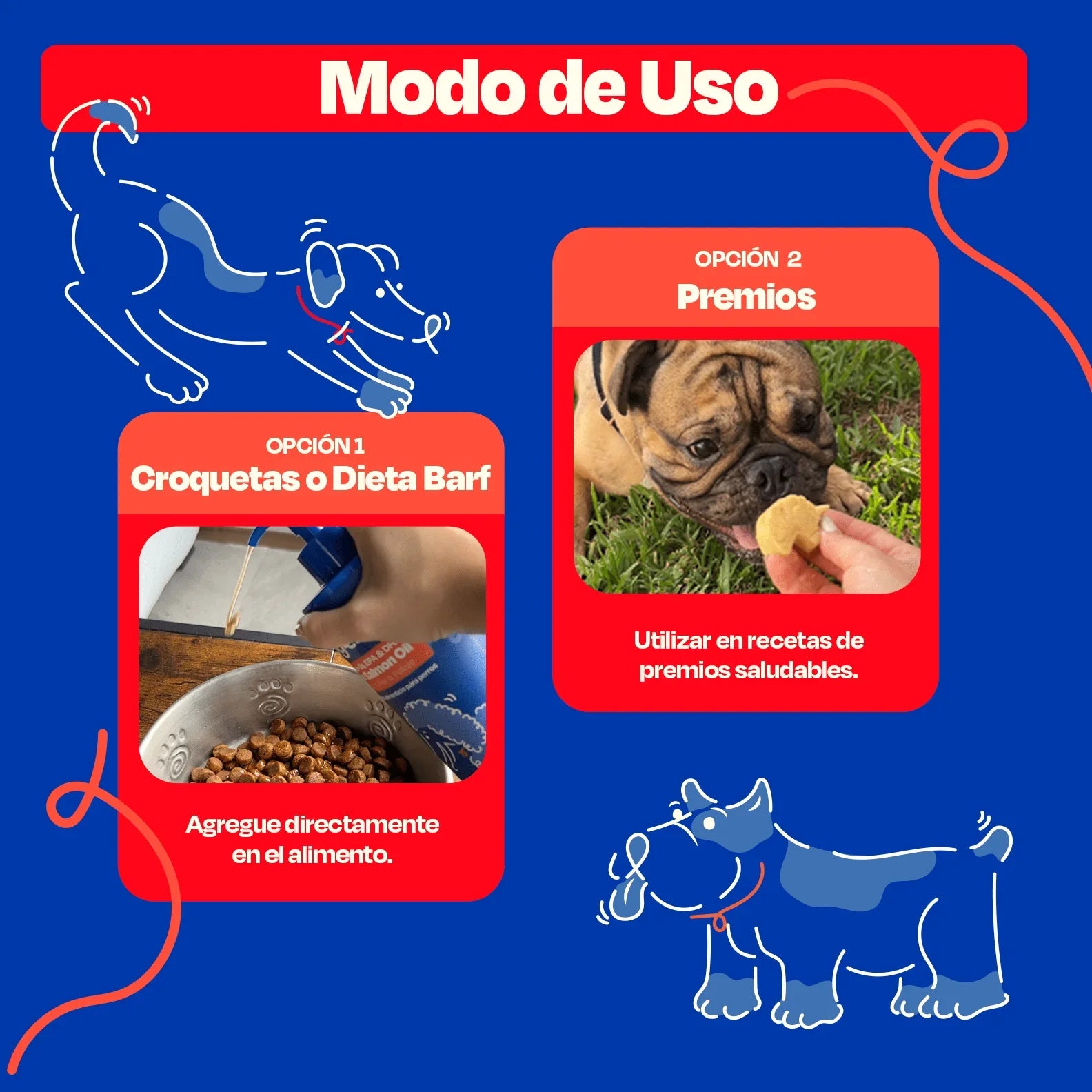 Dogelthy PURE SARDINE OIL 450 mL (Aceite Puro de Sardina Pelaje, Piel y Articulaciones)
