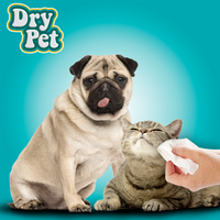 Toallitas Humedas Limpiadoras para Perro y Gato  ( 40 pzas ) DESCONTINUADAS