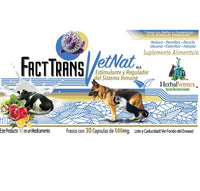 Factra VetNat 60 Tabletas ( Sistema Inmune) ANTES FactTrans VetNat