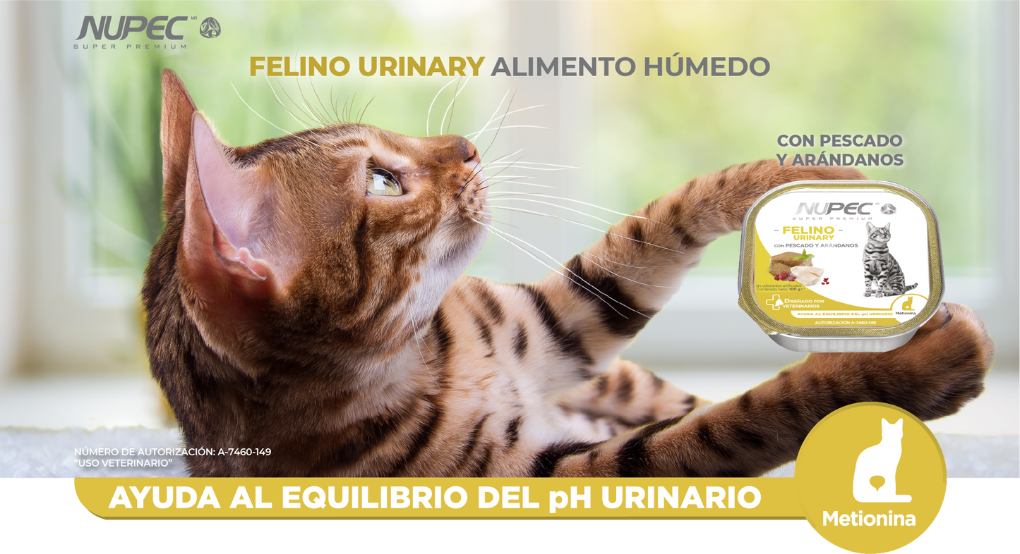 Nupec Felino Urinary 100 g  ( Alimento húmedo con pescado y arándanos )