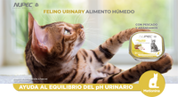Nupec Felino Urinary 100 g  ( Alimento húmedo con pescado y arándanos )